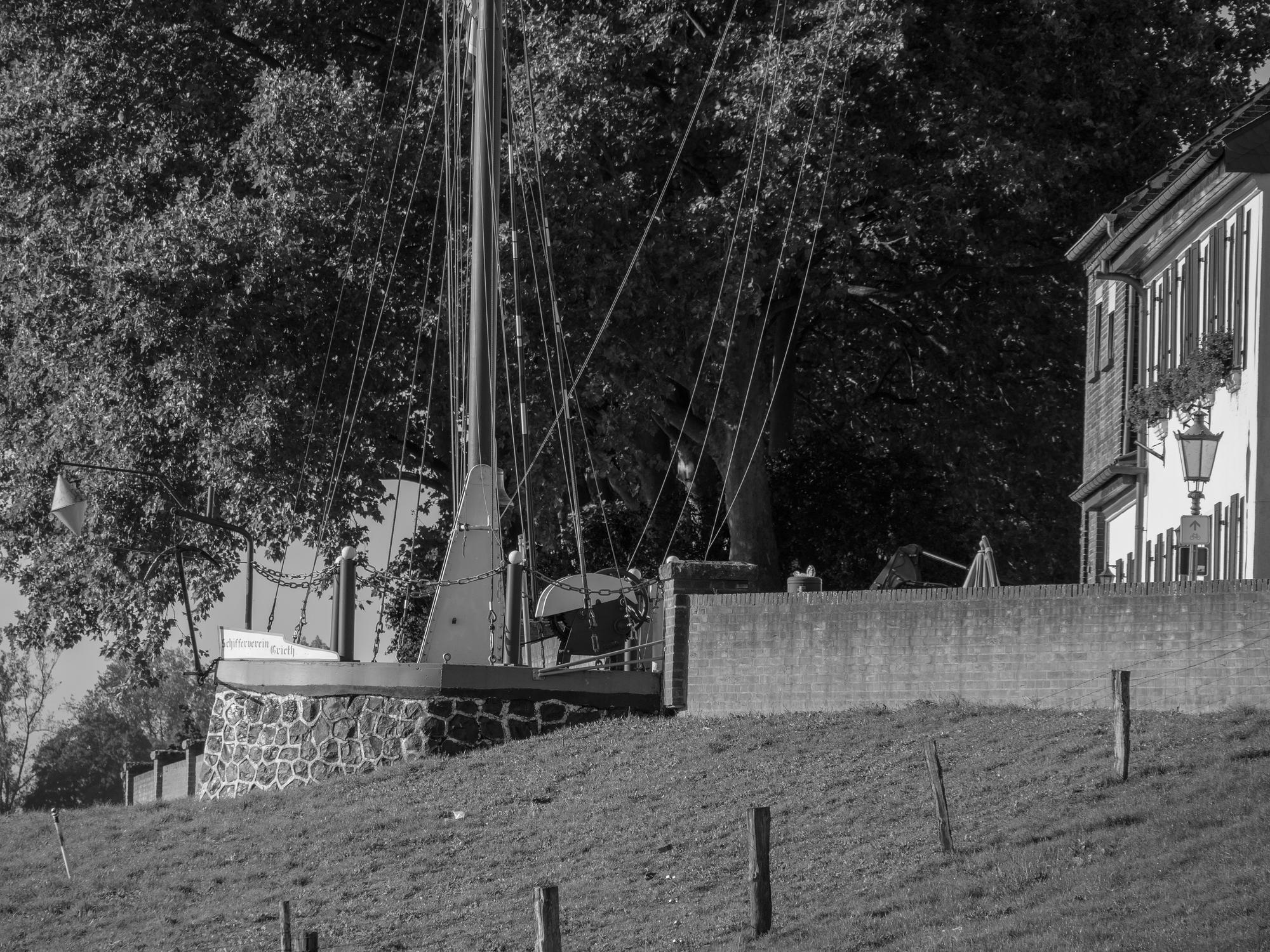 Roman vs film&nbsp;: que vaut l’adaptation de 1965&nbsp;?