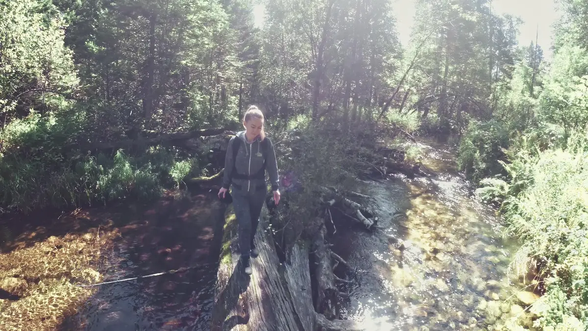 guerrier celte forêt