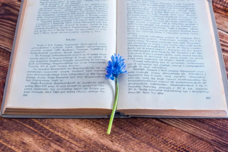 livre ouvert proverbes