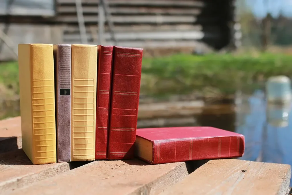 plateau livres France 5