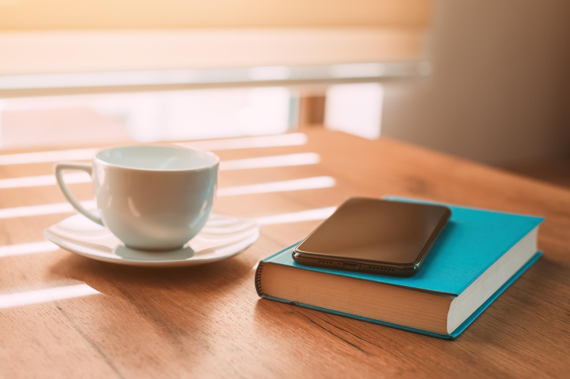 Faut-il lire le roman Sans un mot avant ou après la série ?